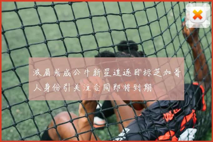 浓眉或成公牛新星追逐目标芝加哥人身份引关注合同即将到期