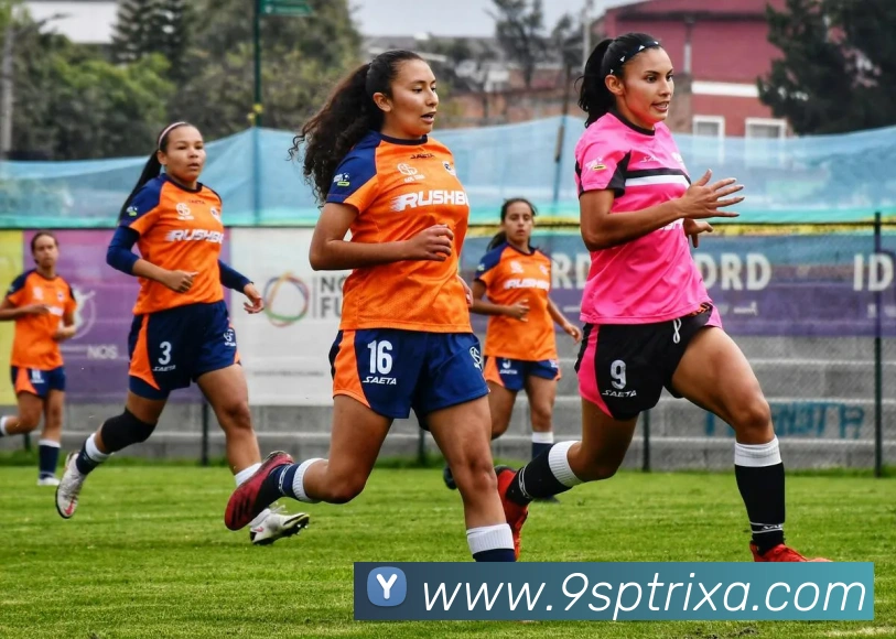 9sp体育品牌故事