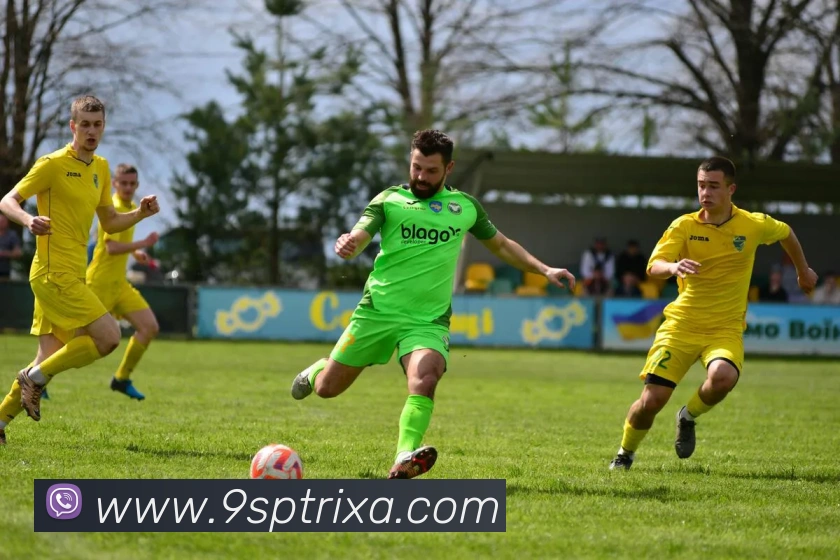 9sp体育服务体系